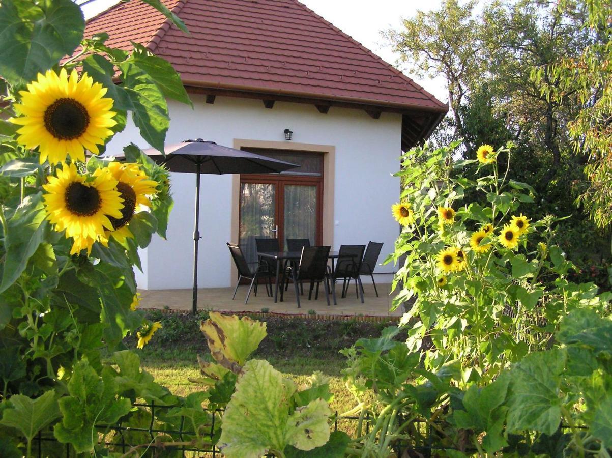 Égrelátó Vendégház Balatonakali Exterior foto